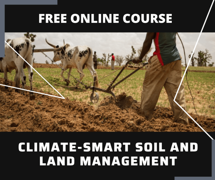 Essay and Report Skills