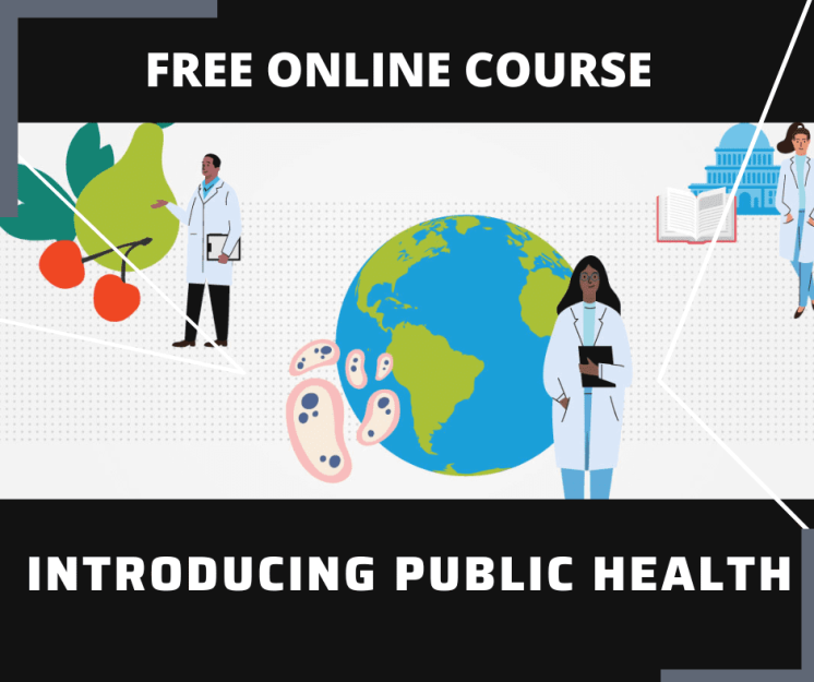 Essay and Report Skills