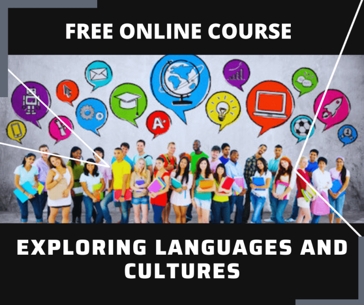 Essay and Report Skills