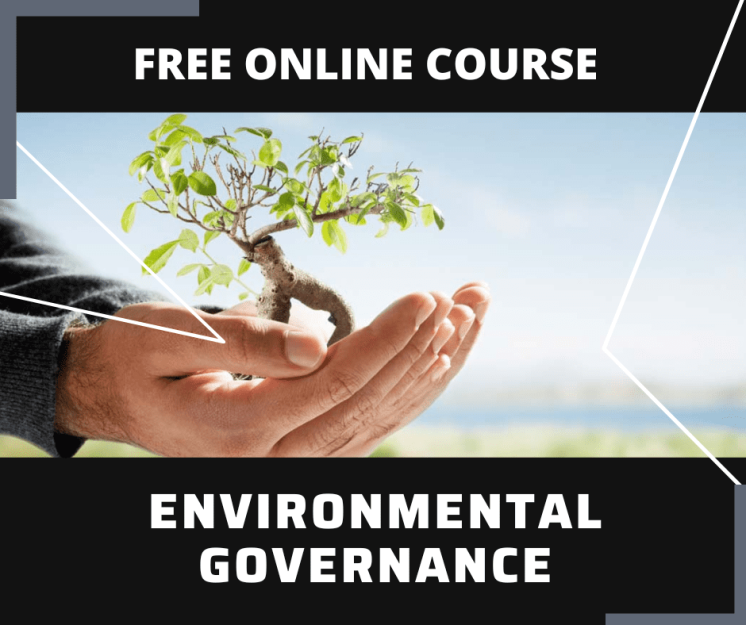 Essay and Report Skills