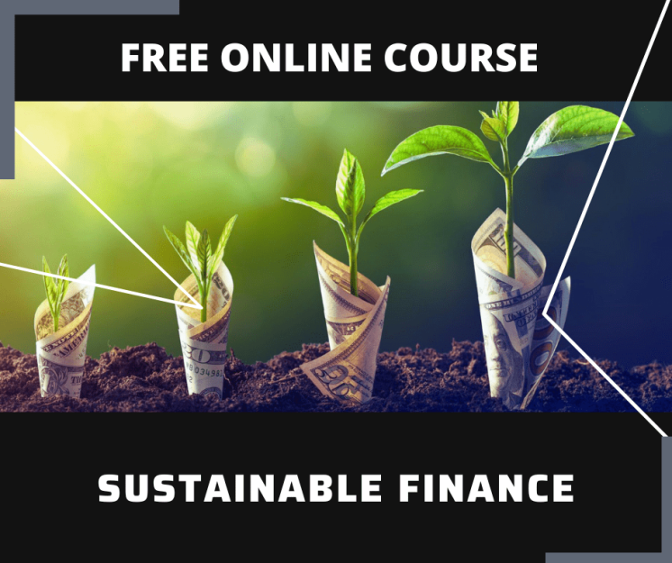 Essay and Report Skills