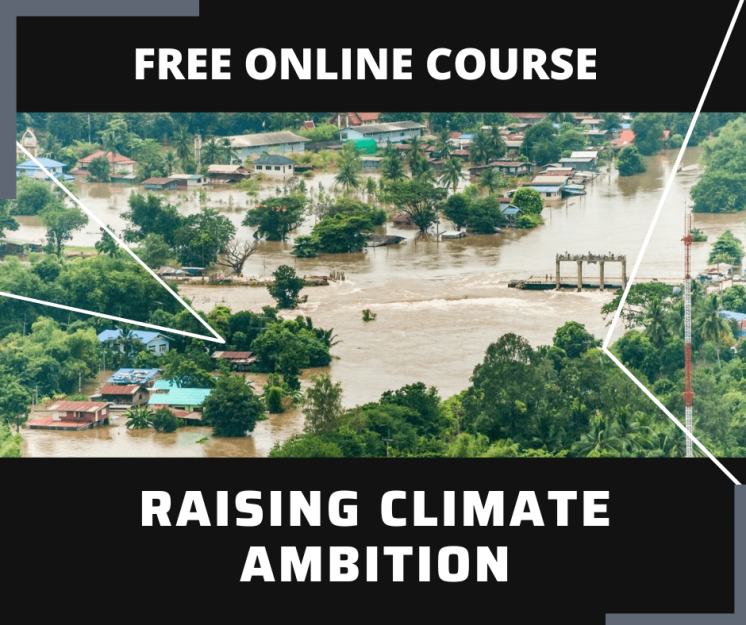 Essay and Report Skills