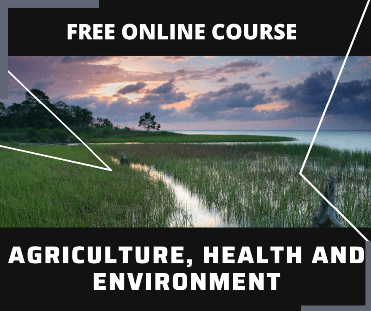 Essay and Report Skills