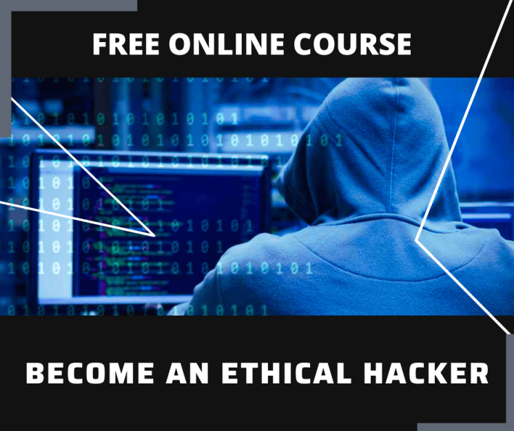 Essay and Report Skills